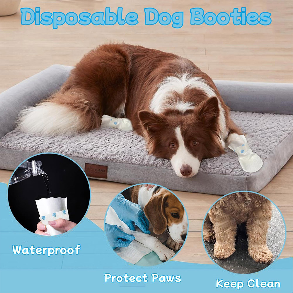 20/40PCS Pet Disposable Paw Sh - Dust Shoe Cnc recension och pris